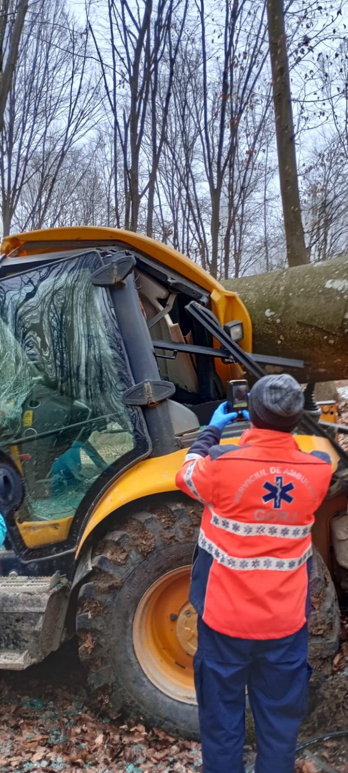 WhatsApp Image 2024-01-23 at 11.28.53