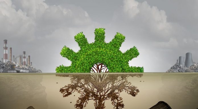 Apel de propuneri de proiecte în cadrul Programului de Tranziție Justă