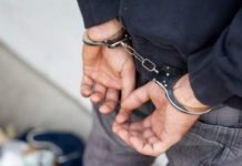 Gorjean piroman arestat în Dolj!