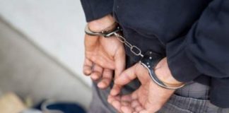 Gorjean piroman arestat în Dolj!