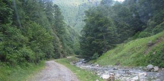 Trasee educative, înființate de Romsilva în pădurile din Gorj