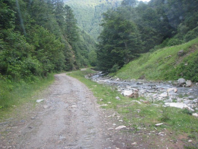 Trasee educative, înființate de Romsilva în pădurile din Gorj