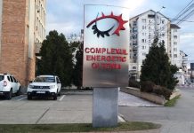 SURSE: Directorii Trufelea și Plaveti, singurii care ar fi fost ”admiși” la șefia CEO