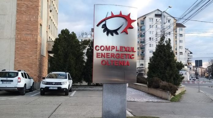 SURSE: Directorii Trufelea și Plaveti, singurii care ar fi fost ”admiși” la șefia CEO