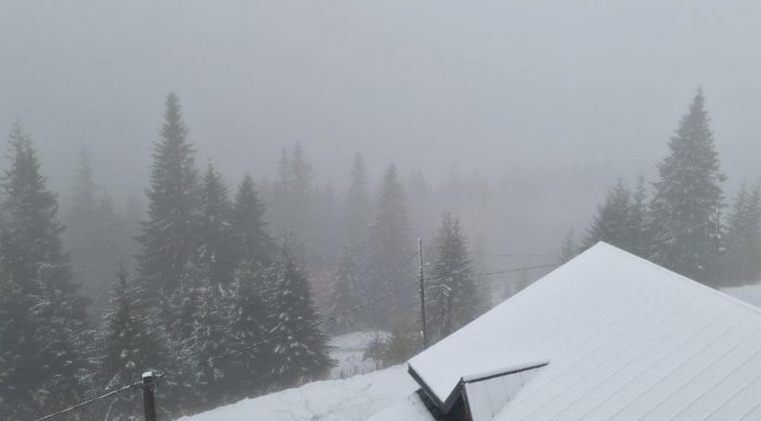 Zone montane sub cod galben