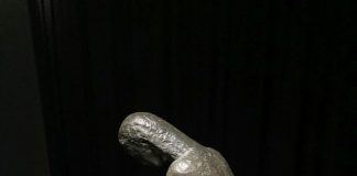 Final la supervizitata expoziție Brâncuși de la Timișoara!