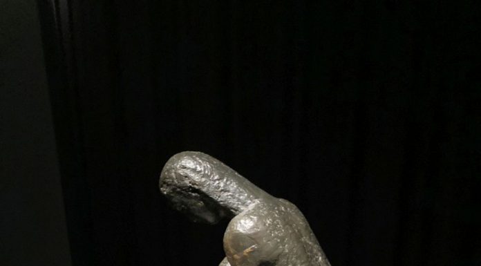 Final la supervizitata expoziție Brâncuși de la Timișoara!