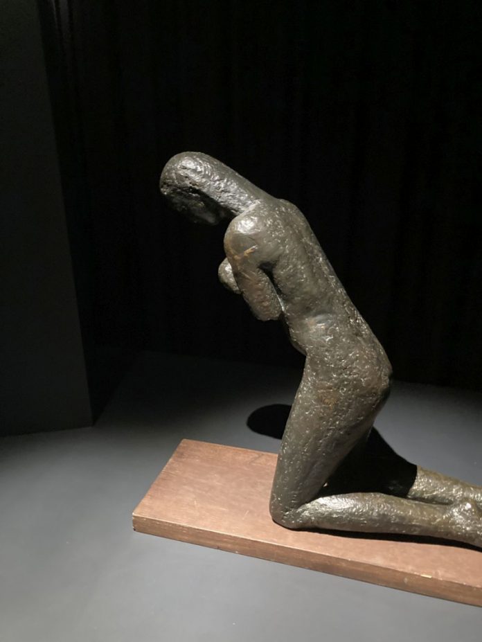 expozitie-brancusi-timisoara-1