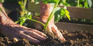 Agricultura pe înțelesul tuturor – Să ne protejăm ecologic grădina, casa și gospodăria