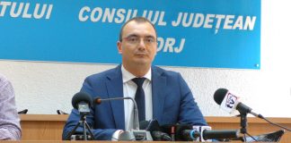 Zeci de gorjeni nevăzători – șoferi cu acte-n regulă!