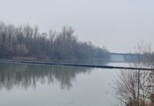 A vrut să se arunce în Jiu dar a fost oprită de polițiști