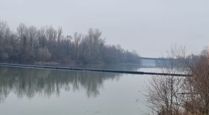 A vrut să se arunce în Jiu dar a fost oprită de polițiști