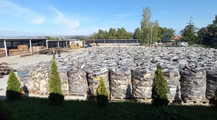 Protocol între Romsilva și Poșta Română pentru compensarea sumelor aferente lemnului de foc