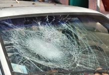 S-a pus cu parul pe mașina pădurarului. Amendă penală!