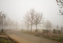 După ger, temperaturi de primăvară