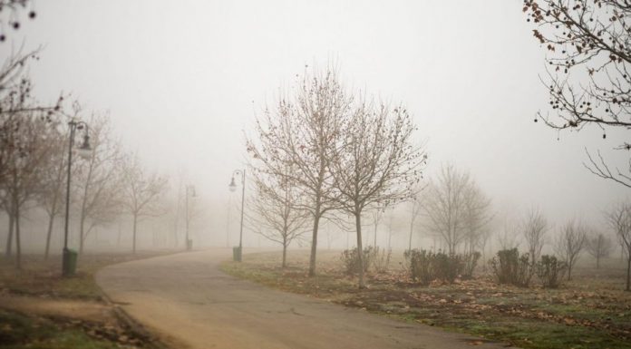 După ger, temperaturi de primăvară