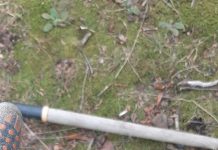 Tezaur dacic de argint, descoperit în județul Gorj