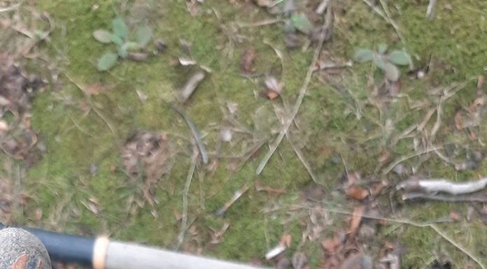 Tezaur dacic de argint, descoperit în județul Gorj