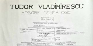 TUDOR VLADIMIRESCU – Arbore genealogic