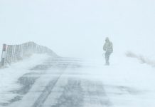 Cod galben de viscol