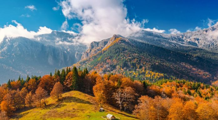 Prima săptămână din ianuarie, mai caldă. Prognoză pentru toată luna