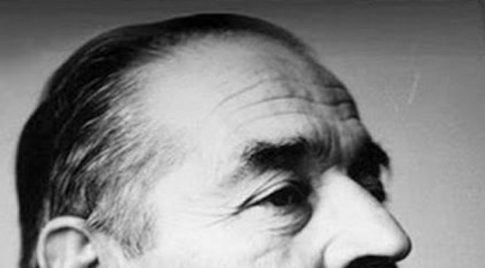 Lecția despre Brâncuși (II)