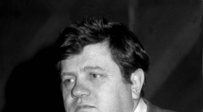 Lecția despre Brâncuși (VIII)