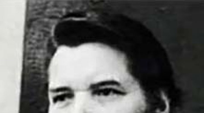 Lecția despre Brâncuși (IX) – Brâncuși la Hobița