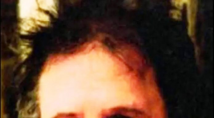 Lecția despre Brâncuși (XIII)