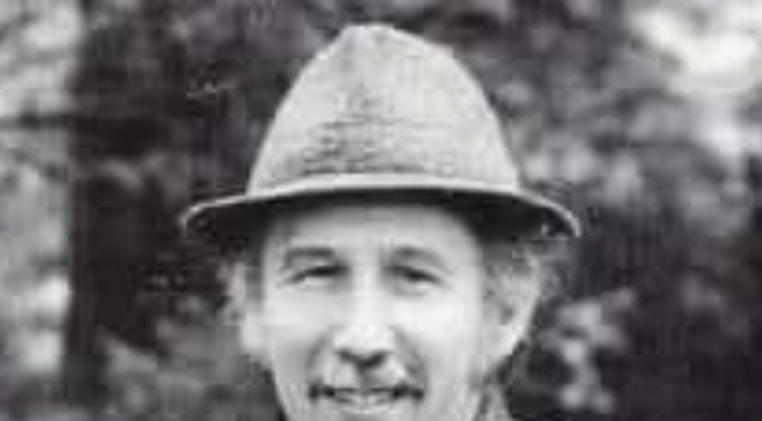 Lecția despre Brâncuși (XIV)