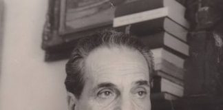 Lecția despre Brâncuși (V)