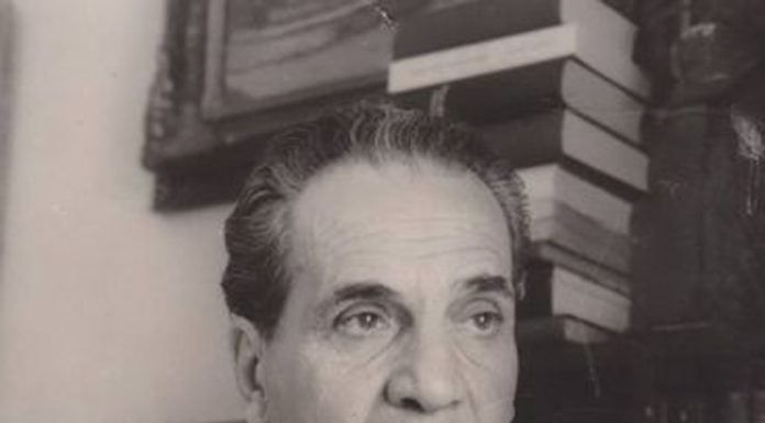 Lecția despre Brâncuși (V)