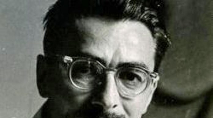 Lecția despre Brâncuși