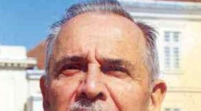 Lecția despre Brâncuși (VI)