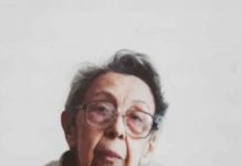 Lecția despre Brâncuși (VII)