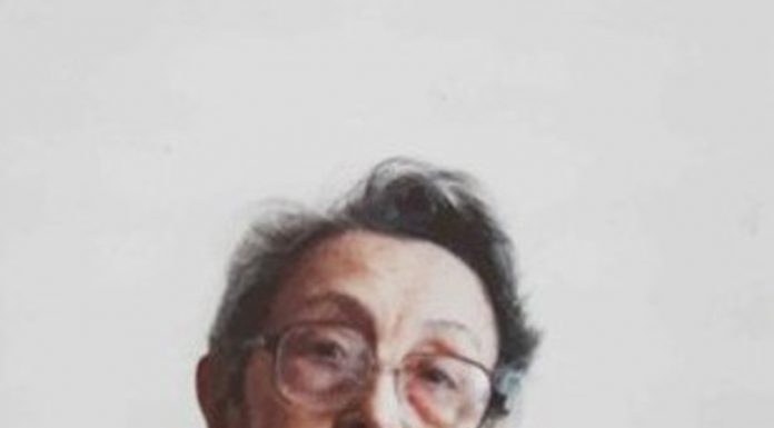 Lecția despre Brâncuși (VII)