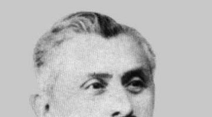 Lumea gorjenească – Cu burta pe carte