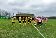 Campionatele județene, reluate în martie