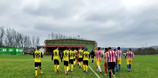 Campionatele județene, reluate în martie