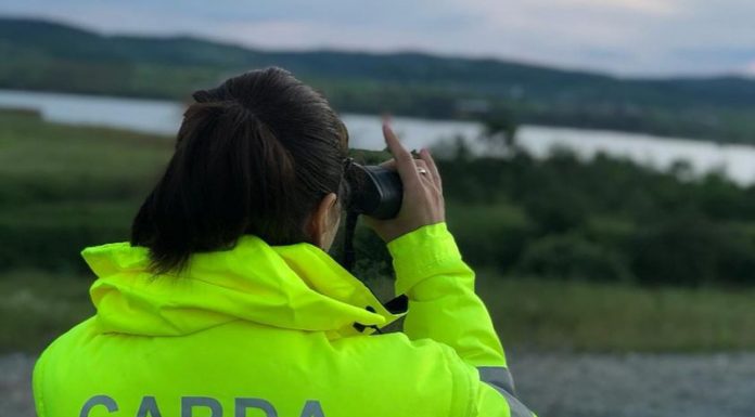 Peste 1.000 de controale în județ ale Gărzii de Mediu, în 2023. Amenzi de 2,4 milioane de lei