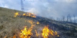 Garda de Mediu Gorj: Incendierea vegetației uscate, interzisă prin lege!