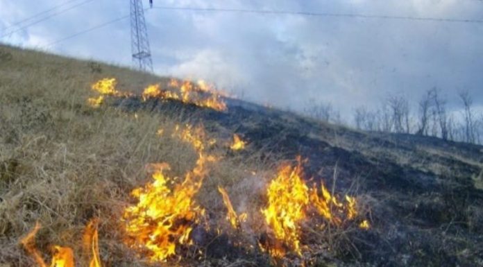 Garda de Mediu Gorj: Incendierea vegetației uscate, interzisă prin lege!