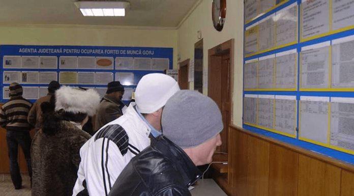 AJOFM: Prime pentru tinerii care se angajează