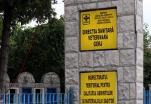 Servicii veterinare de peste 1,8 milioane de lei, scoase la licitație de DSVSA pentru trei comune din Gorj