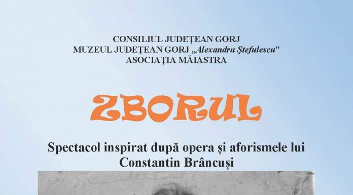 Recital de vioară, astăzi, la Muzeul Județean Gorj