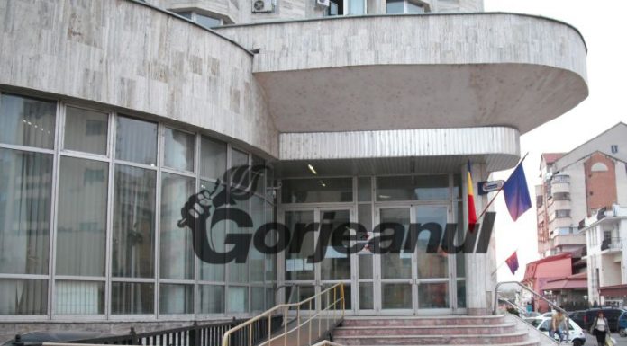 Mai multe terenuri din județ, vândute la licitație de Fiscul gorjean