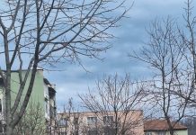 Polițiștii din Motru au găsit rapid un copil de nici 5 ani care fusese dat dispărut