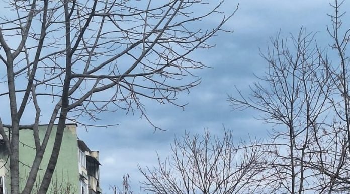 Polițiștii din Motru au găsit rapid un copil de nici 5 ani care fusese dat dispărut