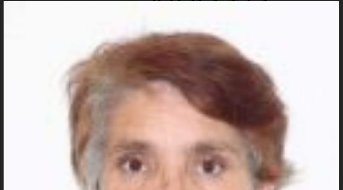 Femeie din Târgu Jiu, dispărută de acasă împreună cu fiica minoră