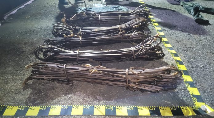 Bărbați arestați după ce au furat 320 kg de cupru de la Termo Turceni